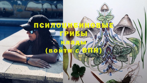 шишки Бородино