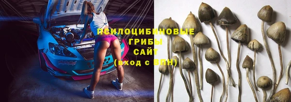 скорость Богородицк